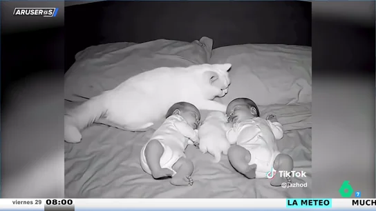 El entrañable vídeo viral de la mamá gato que vigila el sueño de los bebés humanos y su cachorro felino El entrañable vídeo viral de la mamá gato que vigila el sueño de los bebés humanos y su cachorro felino