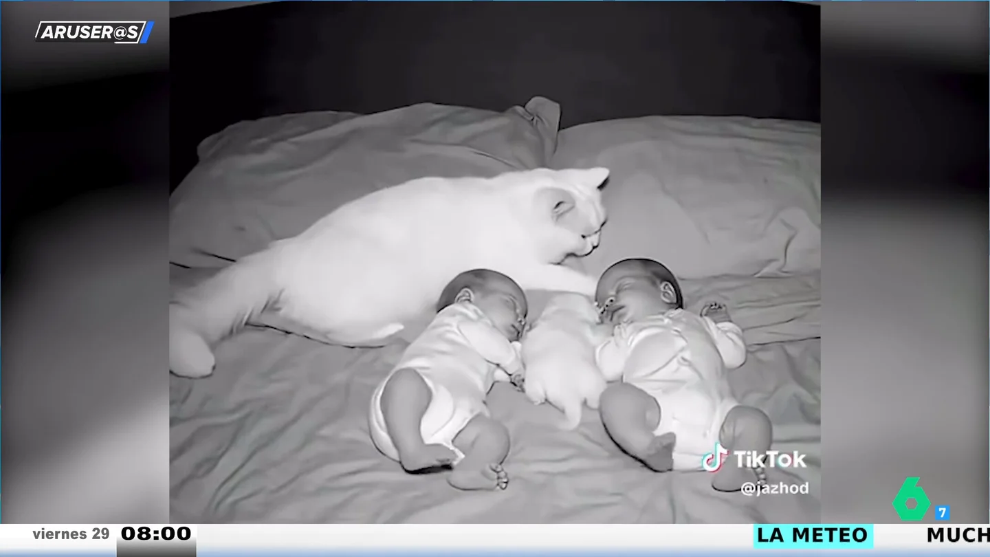 El entrañable vídeo viral de la mamá gato que vigila el sueño de los bebés humanos y su cachorro felino El entrañable vídeo viral de la mamá gato que vigila el sueño de los bebés humanos y su cachorro felino