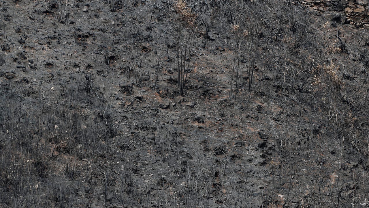 Galicia continúa trabajando en la extinción de los tres megaincendios que arrasaron 66.000 hectáreas