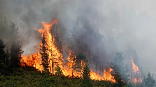 Incendio en España Incendio en España