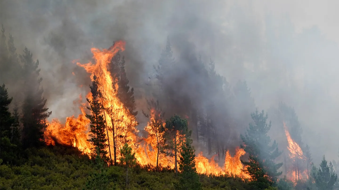 Incendio en España Incendio en España