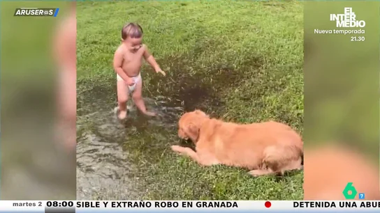 El entrañable vídeo viral de un Golden Retriever y un bebé jugando como dos niños en un charco de agua El entrañable vídeo viral de un Golden Retriever y un bebé jugando como dos niños en un charco de agua