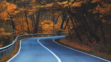  Fall foliage