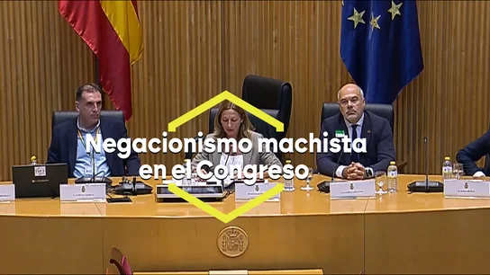 Vox mezcla negacionismo machista y racista en sus jornadas del bochorno en el Congreso Vox mezcla negacionismo machista y racista en sus jornadas del bochorno en el Congreso