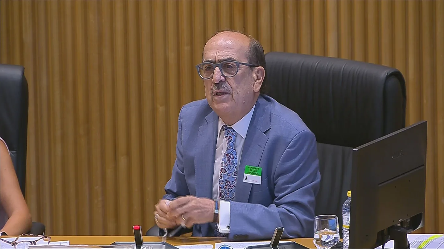 El exmagistrado del Tribunal Supremo y del TEDH Francisco Javier Borrego, este jueves en las jornadas negacionistas de la violencia de género de Vox. El exmagistrado del Tribunal Supremo y del TEDH Francisco Javier Borrego, este jueves en las jornadas negacionistas de la violencia de género de Vox.