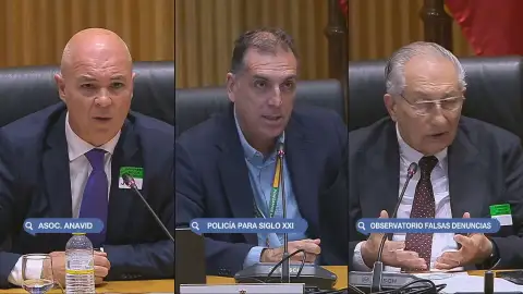 Varios de los ponentes de las jornadas machistas de Vox en el Congreso Varios de los ponentes de las jornadas machistas de Vox en el Congreso
