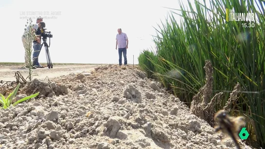 El arroz español no solo se cultiva en Valencia: Equipo de Investigación revela el secreto mejor guardado del sector El arroz español no solo se cultiva en Valencia: Equipo de Investigación revela el secreto mejor guardado del sector