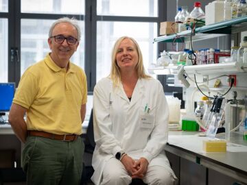 Antonio Zorzano y Manuela S&aacute;nchez-Feutrie, del IRB, coautores del estudio