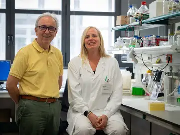 Antonio Zorzano y Manuela Sánchez-Feutrie, del IRB, coautores del estudio Antonio Zorzano y Manuela Sánchez-Feutrie, del IRB, coautores del estudio