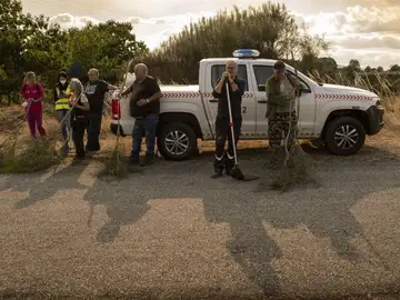 Incendio forestal Incendio forestal
