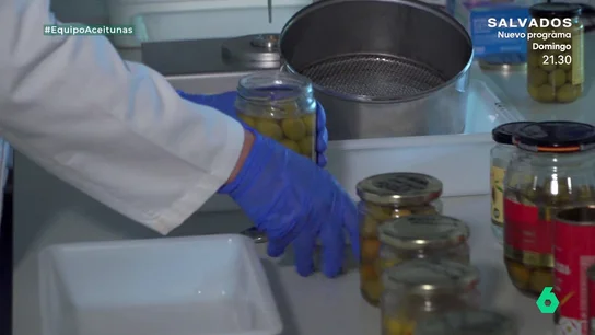 Un investigador del CSIC desvela qué es lo que realmente lleva el relleno de las aceitunas con anchoa: "No es anchoa" Un investigador del CSIC desvela qué es lo que realmente lleva el relleno de las aceitunas con anchoa: "No es anchoa"