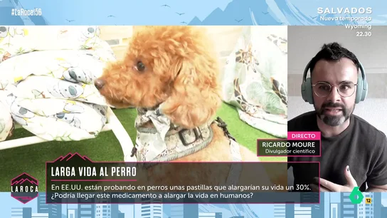 Ricardo Moure Ricardo Moure