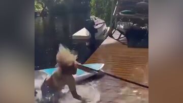 Surfista