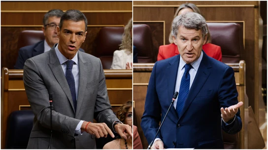 Pedro Sánchez y Alberto Núñez Feijóo debaten en el Congreso de los Diputados Pedro Sánchez y Alberto Núñez Feijóo debaten en el Congreso de los Diputados