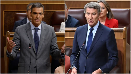 Pedro Sánchez y Alberto Núñez Feijóo, enfrentados en el Congreso de los Diputados Pedro Sánchez y Alberto Núñez Feijóo, enfrentados en el Congreso de los Diputados