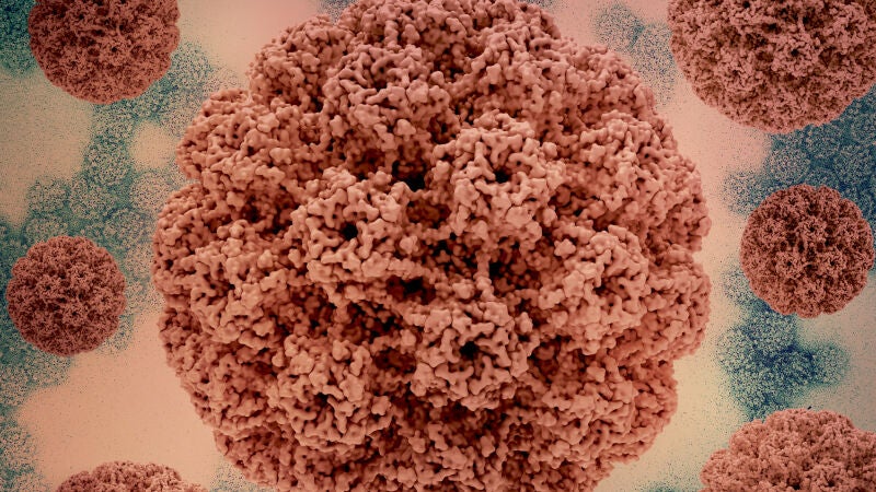 Quienes sobreviven a un cáncer de cuello uterino se enfrentan a un riesgo posterior