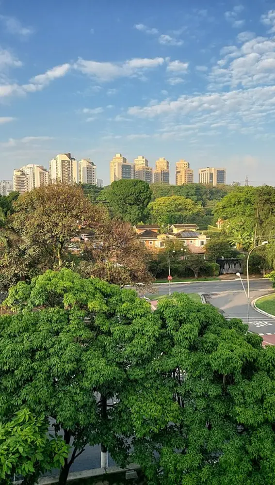 Sao Paulo Sao Paulo