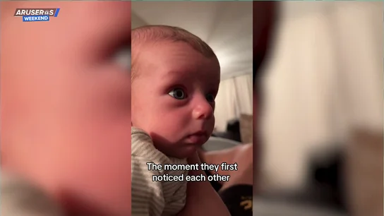 La divertida cara de desconcierto de dos bebés gemelos al verse por primera vez el uno al otro La divertida cara de desconcierto de dos bebés gemelos al verse por primera vez el uno al otro