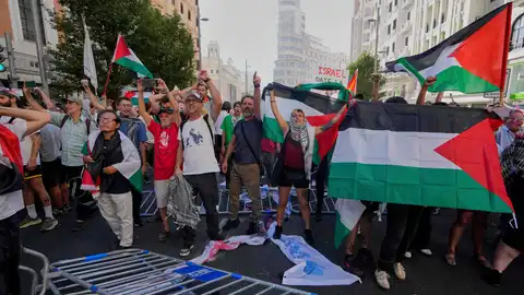 Decenas de manifestantes protestan contra el genocidio de Israel en Gaza por las calles de Madrid Decenas de manifestantes protestan contra el genocidio de Israel en Gaza por las calles de Madrid