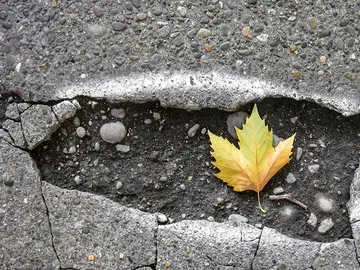 Un bache en la carretera Un bache en la carretera