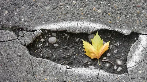 Un bache en la carretera Un bache en la carretera