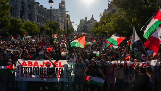 Protesta propalestina Protesta propalestina este domingo en Madrid.