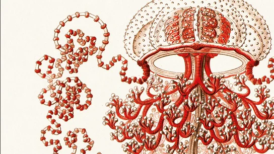 Detalle de la cubierta de ''Solaris', de Stanislaw Lem Detalle de la cubierta de ''Solaris', de Stanislaw Lem