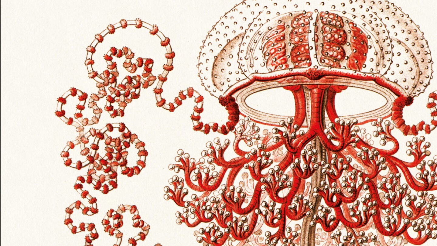 Detalle de la cubierta de ''Solaris', de Stanislaw Lem