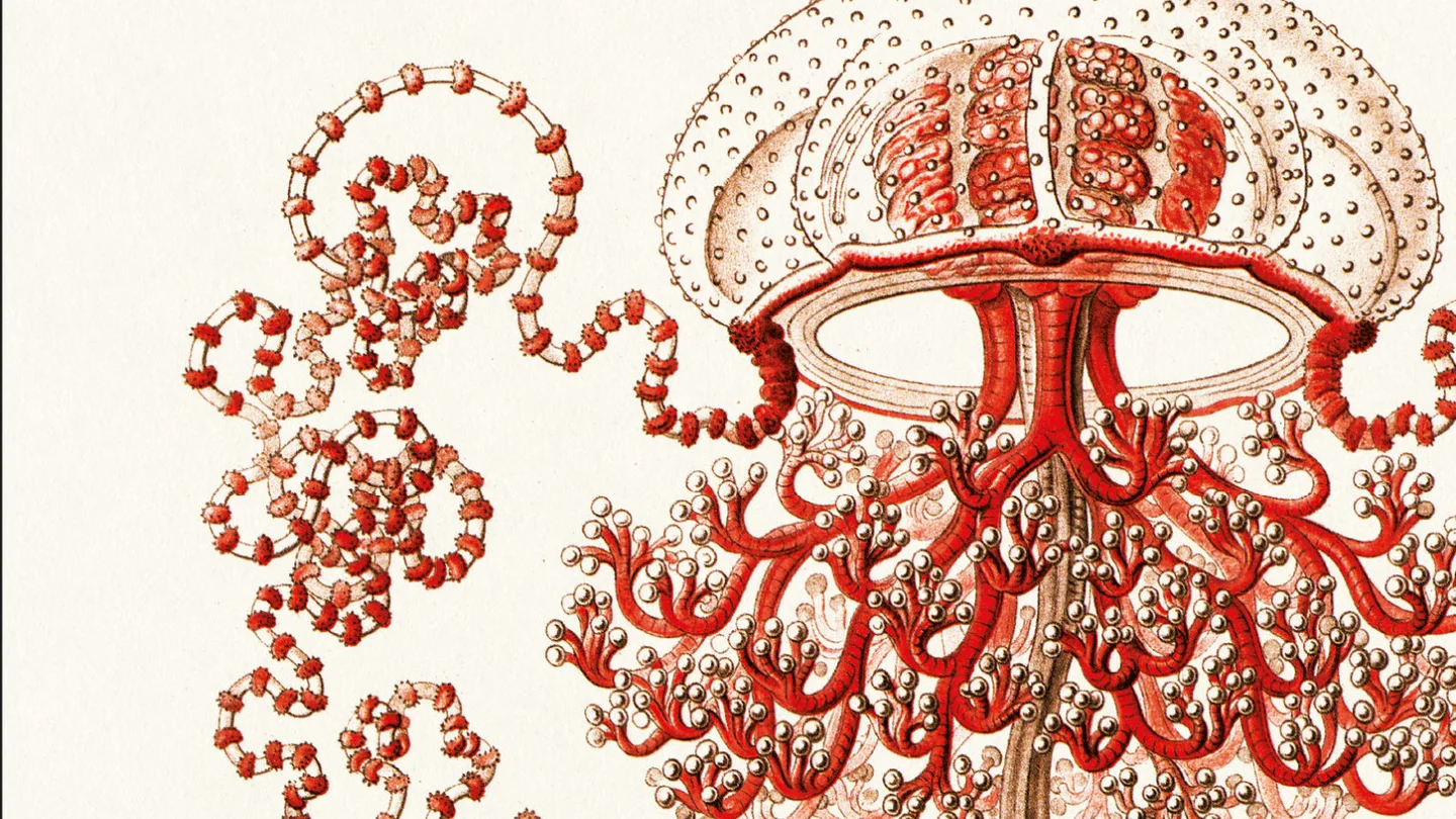 Detalle de la cubierta de ''Solaris', de Stanislaw Lem Detalle de la cubierta de ''Solaris', de Stanislaw Lem