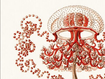 Detalle de la cubierta de ''Solaris', de Stanislaw Lem