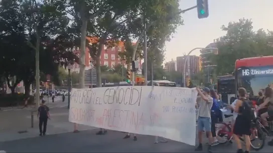 Manifestantes propalestinos cortan la avenida de la Diagonal en Barcelona Manifestantes propalestinos cortan la avenida de la Diagonal en Barcelona