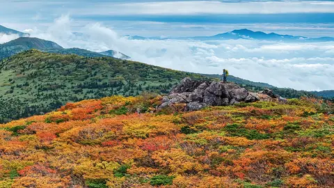 Tohoku Tohoku