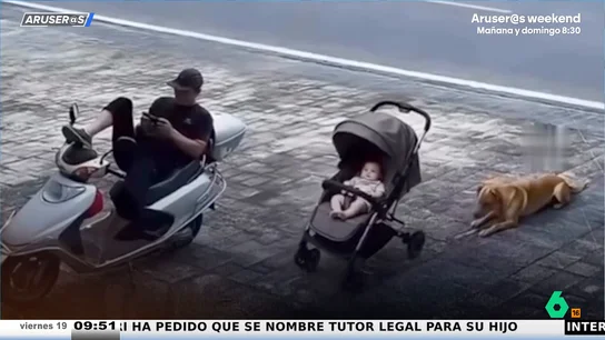 Un perro salva a un bebé cuyo cochecito rodaba sin control a la carretera: "El héroe inesperado" Un perro salva a un bebé cuyo cochecito rodaba sin control a la carretera: "El héroe inesperado"