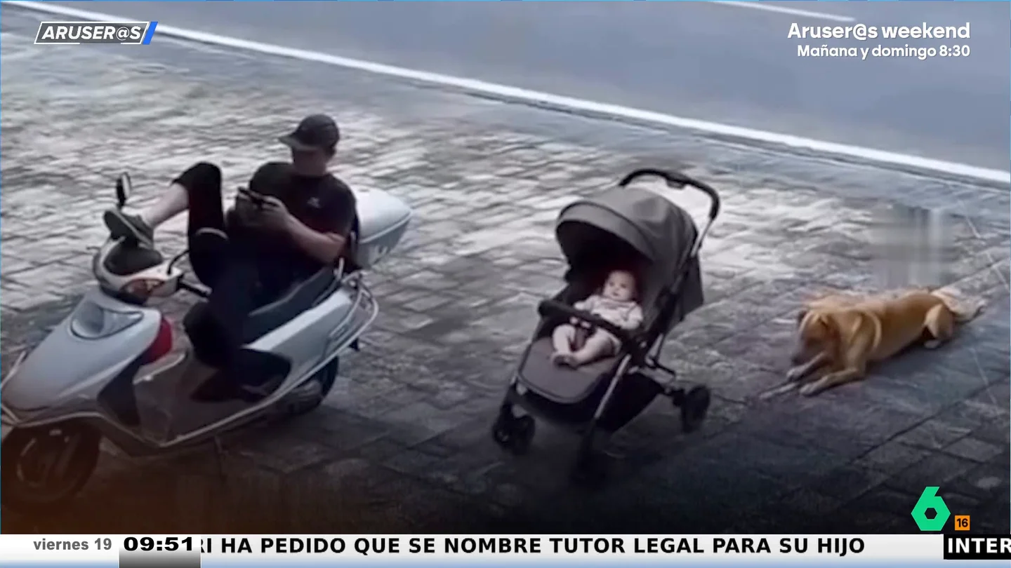 Un perro salva a un bebé cuyo cochecito rodaba sin control a la carretera: "El héroe inesperado" Un perro salva a un bebé cuyo cochecito rodaba sin control a la carretera: "El héroe inesperado"