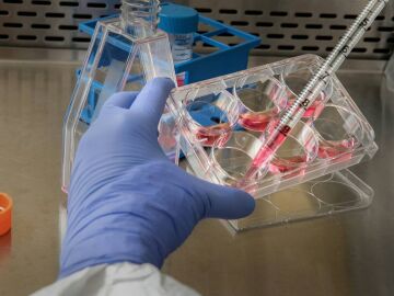 Investigaci&oacute;n