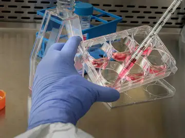 Investigación Investigación