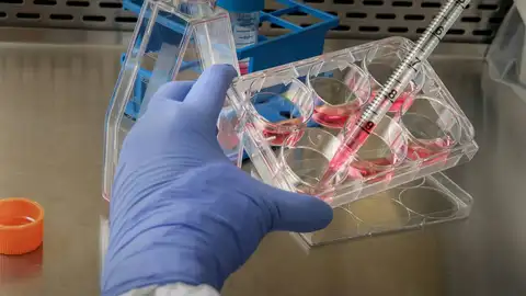 Investigación Investigación