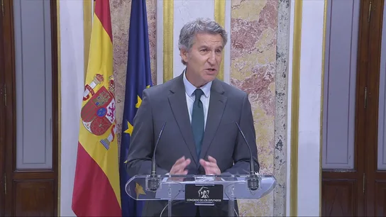 El líder del PP, Alberto Núñez Feijóo, comparece en el Congreso de los Diputados El líder del PP, Alberto Núñez Feijóo, comparece en el Congreso de los Diputados