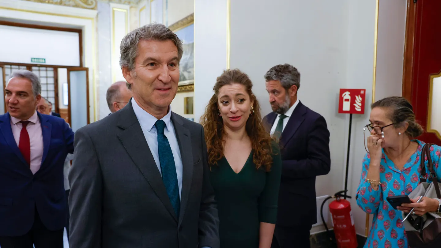 El presidente del PP, Alberto Núñez Feijóo El presidente del PP, Alberto Núñez Feijóo