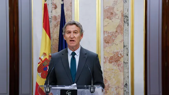 El presidente del PP, Alberto Núñez Feijóo El presidente del PP, Alberto Núñez Feijóo