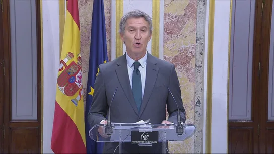 El líder del PP, Alberto Núñez Feijóo, comparece en el Congreso de los Diputados El líder del PP, Alberto Núñez Feijóo, comparece en el Congreso de los Diputados