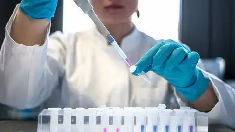 Investigación Investigación