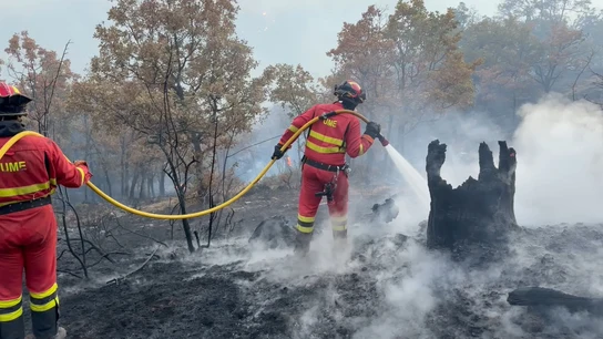 Labores de extinción en Peñalba de la Sierra. Labores de extinción en Peñalba de la Sierra.