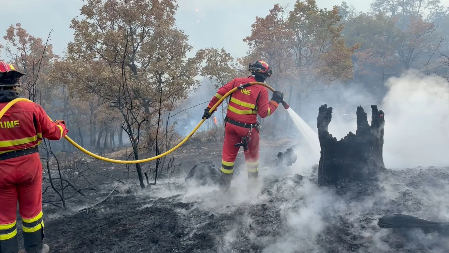 Labores de extinción en Peñalba de la Sierra. Labores de extinción en Peñalba de la Sierra.