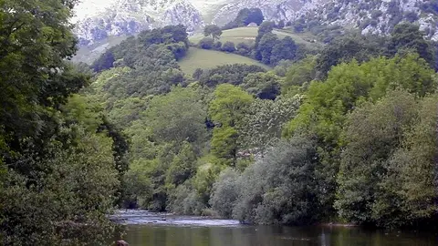 Río Asón Río Asón