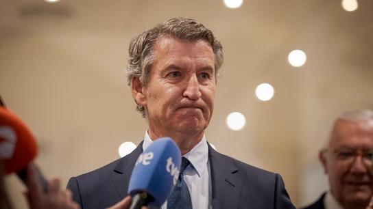 El líder del PP, Alberto Núñez Feijóo, este martes en un acto de partido. El líder del PP, Alberto Núñez Feijóo, este martes en un acto de partido.