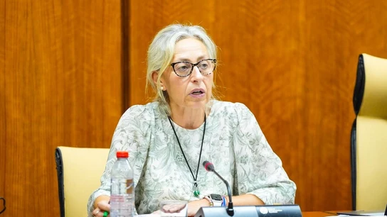 La consejera de Sanidad de la Junta de Andalucía, Rocío Hernández, este miércoles. La consejera de Sanidad de la Junta de Andalucía, Rocío Hernández, este miércoles.