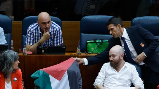 Un bedel de la Asamblea de Madrid ha tenido que retirar una bandera de Palestina, este jueves. Un bedel de la Asamblea de Madrid ha tenido que retirar una bandera de Palestina, este jueves.