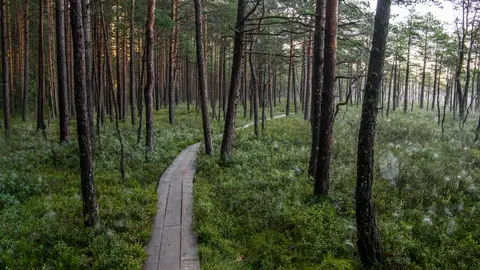 Estonia en otoño Estonia en otoño