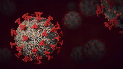 Coronavirus Coronavirus